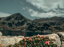 REPORTAJ / Spre Lacul Bucura, ”cartierul general” al traseelor din Parcul Național Retezat
