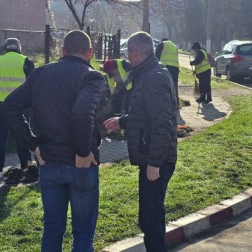 Curățenie de primăvară în municipiul Petroșani