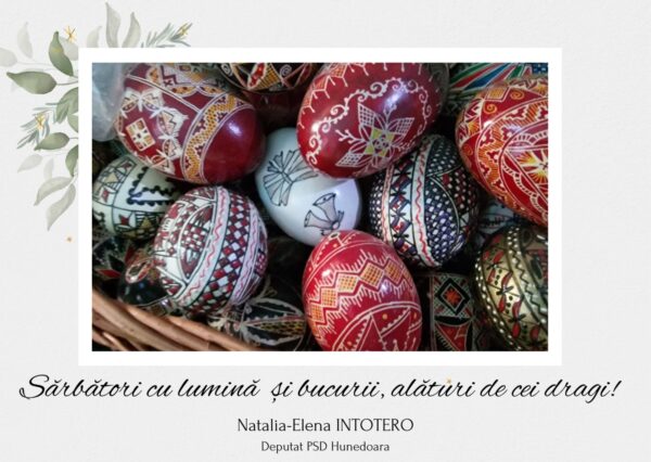 Mesaj de Paște / Natalia Intotero, deputat PSD