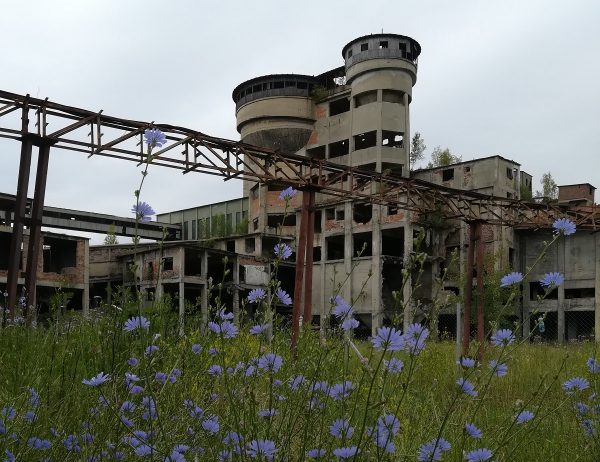 Activele de patrimoniu de la fosta Mină Petrila pot ajunge în proprietatea Consiliului județean Hunedoara