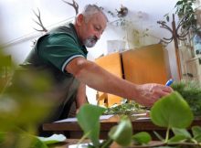 Pădurarii Văii Jiului, în topul concursului profesional ”Cel mai bun pădurar”