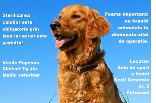 Campanie gratuită de sterilizare a câinilor și pisicilor, la Petroșani