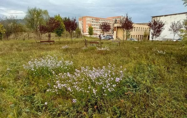 Parcul din curtea Spitalului de Urgență din Petroșani va fi reabilitat de voluntari