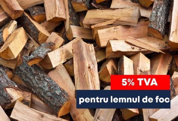 Parlamentul a decis scăderea cotei de TVA pentru lemnul de foc la 5%