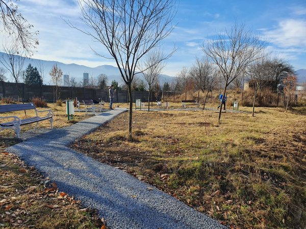 ”Sănătate verde”, proiect de voluntariat finalizat cu succes la Petroșani