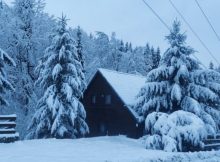 Decembrie / O poezie de Mirela Cocheci