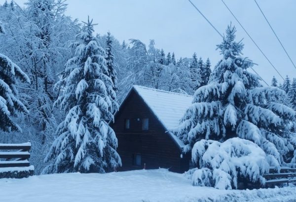 Decembrie / O poezie de Mirela Cocheci