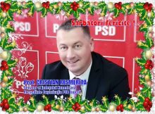 Senatorul Cristian Resmeriță vă urează Sărbători fericite!