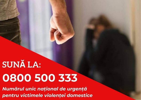 Măsuri pentru prevenirea violenței în familie, adoptate de Consiliul Județean Hunedoara