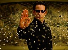 Matrix / O poezie de Mirela Cocheci