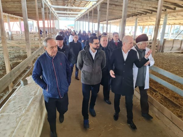 Ministrul Agriculturii a prezentat la Deva măsurile de sprijin ale Guvernului pentru fermieri