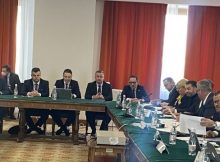 Undă verde în Comisia pentru Energie a Senatului pentru finalizarea lucrărilor hidrotehnice din Defileul Jiului