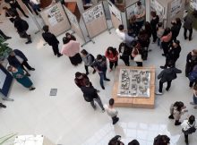 Parcul Botanic, în viziunea studenților Facultății de Arhitectură și Urbanism de la Universitatea Politehnică din Timișoara