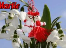 Martie / O poezie de Mirela Cocheci