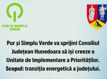 Tranziția energetică a județului, tema parteneriatului între Consiliul județean Hunedoara și asociația Pur și Simplu Verde