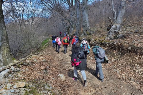 La Vulcan începe marcarea primelor poteci turistice tematice