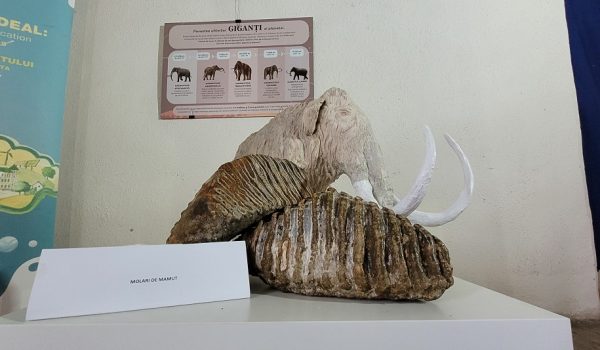 Geoparcurile din România spun „Poveștile Pământului” în județul Hunedoara