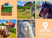 Se redeschide ”Dinoland”-ul din Țara Hațegului