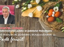 Mesaj Pascal / Costel Avram – administrator public al județului Hunedoara