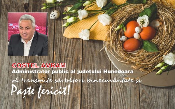 Mesaj Pascal / Costel Avram – administrator public al județului Hunedoara