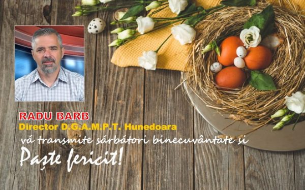 Mesaj Pascal / Radu Barb – director DGAMPT Hunedoara