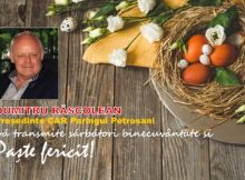 Mesaj Pascal / Dumitru Răscolean – președinte CAR Parîngul Petroșani