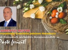 Mesaj Pascal / Laurențiu Nistor – Președintele Consiliului județean Hunedoara