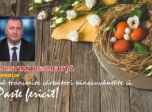 Mesaj Pascal / Cristian Resmeriță – senator