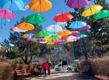 Aleea umbrelelor colorate în Parcul Copiilor din orașul Petrila
