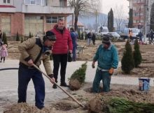 Spații verzi, covoare florale, arbori și arbuști îmbogățesc imaginea stațiunii turistice Uricani