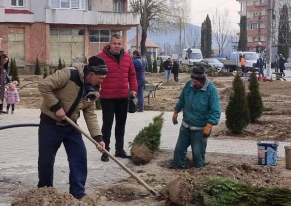 Spații verzi, covoare florale, arbori și arbuști îmbogățesc imaginea stațiunii turistice Uricani