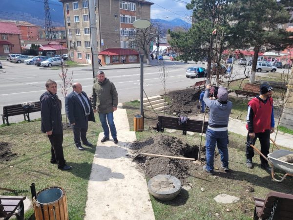 Program de înfrumusețare peisagistică a municipiului Lupeni