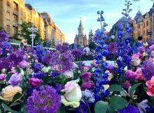 Veșmânt floral / O poezie de Mirela Cocheci