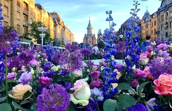Veșmânt floral / O poezie de Mirela Cocheci