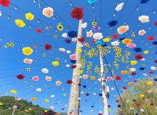 Un nou design pentru sezonul de vară în Parcul CAP din Lupeni