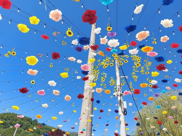 Un nou design pentru sezonul de vară în Parcul CAP din Lupeni