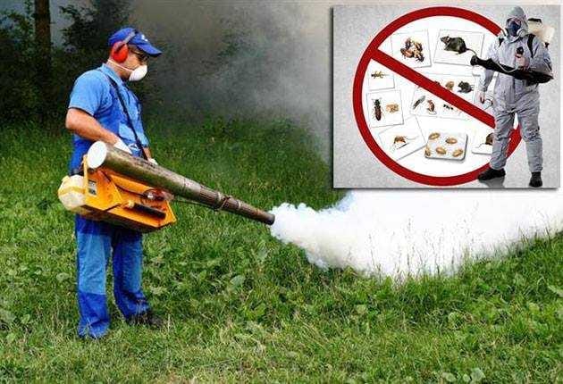 Acțiune de dezinsecție și deratizare la Petrila