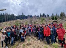 Voluntari social-democrați hunedoreni în acțiune pentru ”Retezatul Verde”