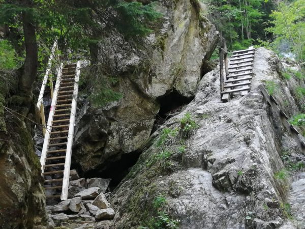 Potecile tematice din Valea Jiului vor fi incluse în rețeaua națională a traseelor pedestre Roped