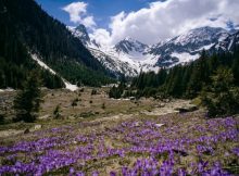 O zi la Cabana Valea Sâmbetei. Experiența mea pe unul dintre cele mai ușoare trasee de o zi din munții Făgăraș