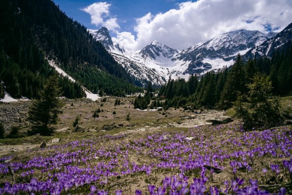 O zi la Cabana Valea Sâmbetei. Experiența mea pe unul dintre cele mai ușoare trasee de o zi din munții Făgăraș