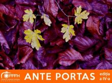 ”Ante Portas”, Salonul de vară al fotografilor hunedoreni la MCDR Deva
