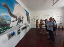 Valorile Geoparcului Hațeg – subiect de studiu și formare multidisciplinară pentru studenți ai Universității din București