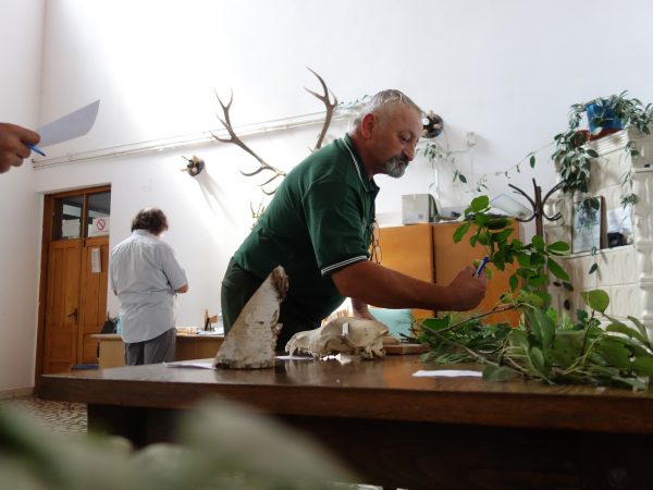 Pădurarul Constantin Ionașc din Lupeni, de 9 ani ”cel mai bun pădurar” din județul Hunedoara