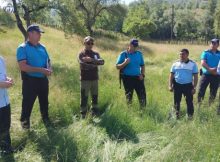 Set de măsuri urgente pentru îndepărtarea urșilor din zona Sălătruc de la Petroșani