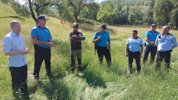 Set de măsuri urgente pentru îndepărtarea urșilor din zona Sălătruc de la Petroșani