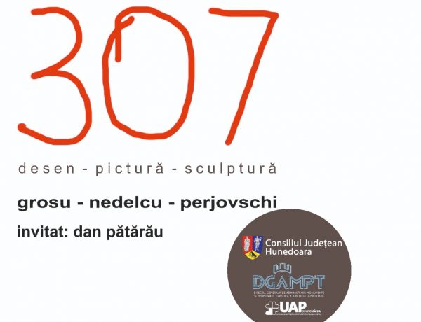 ”307”, expoziție de artă plastică a artiștilor Alexandru Grosu, Liviu Nedelcu și Dan Perjovschi, la galeria de artă ”Forma” din Deva