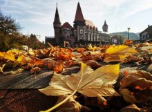 Expoziție de artă plastică, în luna noiembrie, la Castelul Corvinilor