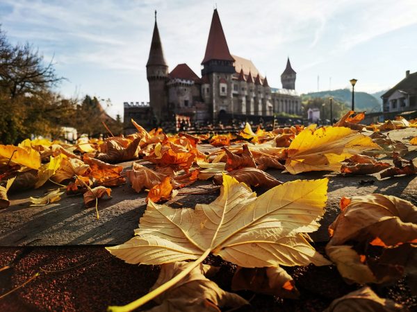 Expoziție de artă plastică, în luna noiembrie, la Castelul Corvinilor