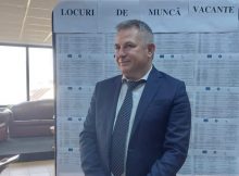 Aproape 5.000 de tineri și-au găsit un loc de muncă la Bursa Locurilor de Muncă pentru Absolvenți
